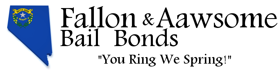Fallon & Aawsome Bail Bonds
